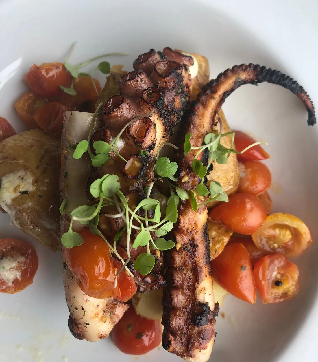 Carioca Bossa in Leblon - Pool & Cagarras View - Image